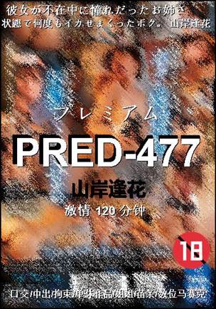 PRED-477种子