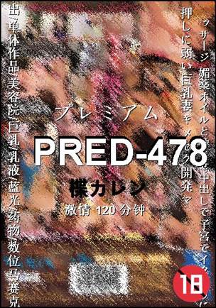 PRED-478种子