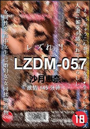 LZDM-057