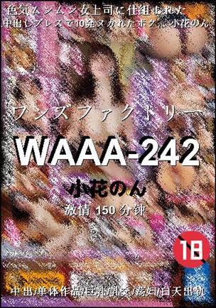 WAAA-242种子