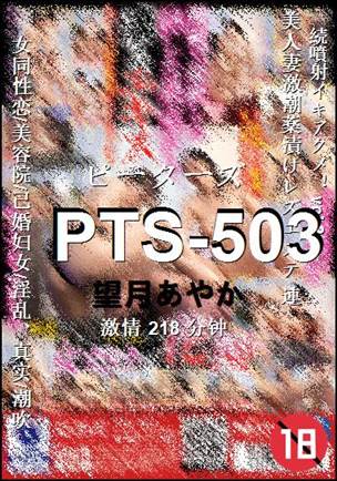 PTS-503种子