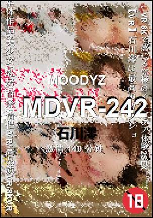 MDVR-242种子