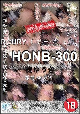 HONB-300