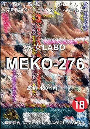 MEKO-276