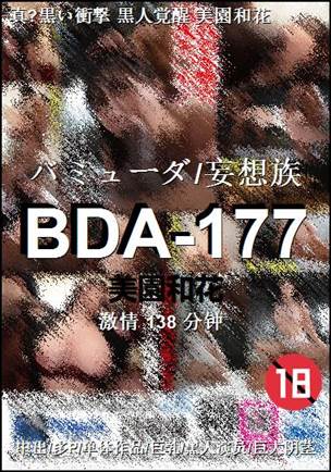 BDA-177种子