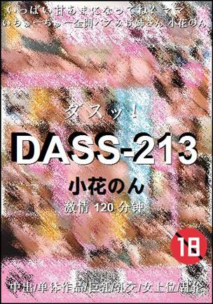 DASS-213