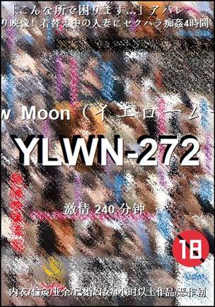 YLWN-272种子