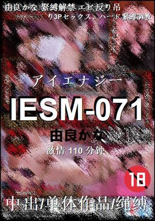 IESM-071