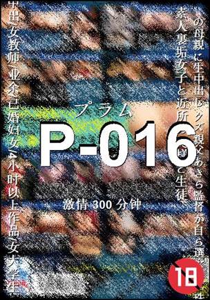 P-016