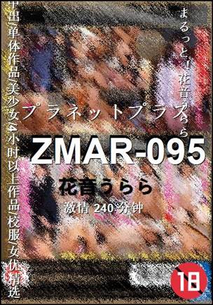 ZMAR-095种子