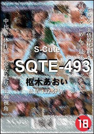 SQTE-493种子