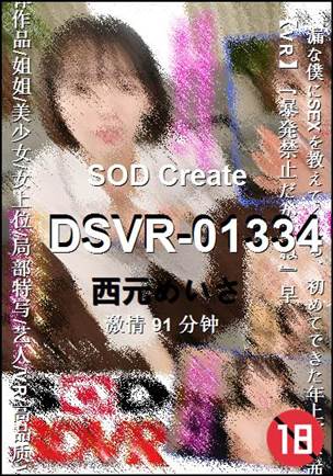 DSVR-01334种子