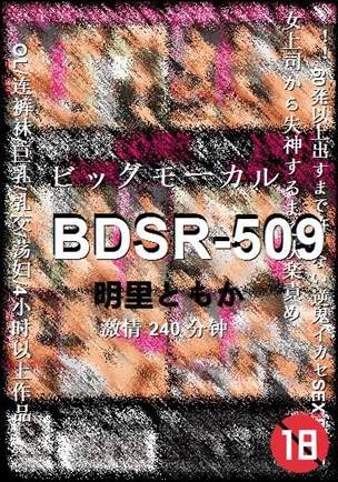 BDSR-509