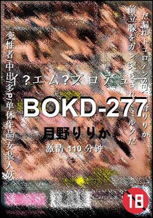 BOKD-277种子