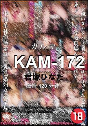 KAM-172种子