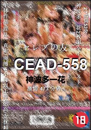 CEAD-558����