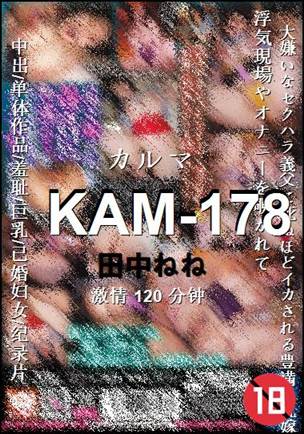 KAM-178种子