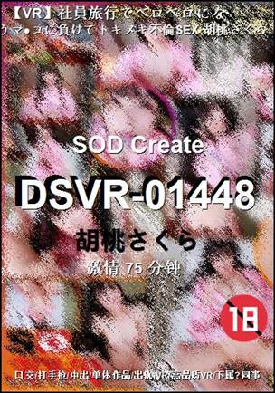 DSVR-01448种子
