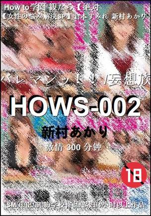 HOWS-002种子