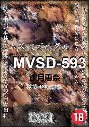 MVSD-593种子