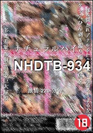 NHDTB-934