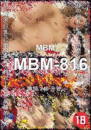 MBM-816种子