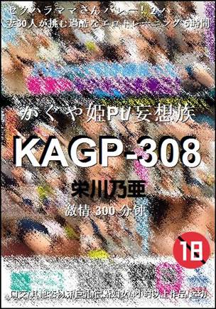 KAGP-308种子