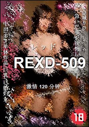 REXD-509种子