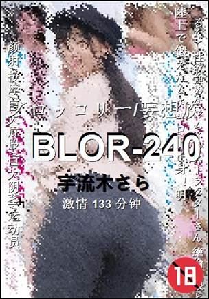BLOR-240种子