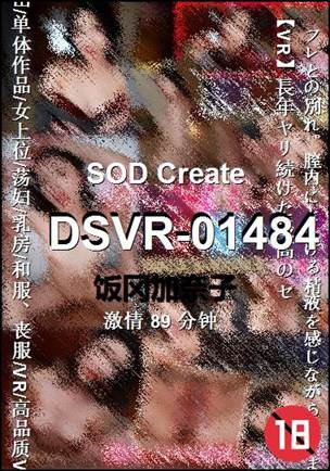 DSVR-01484