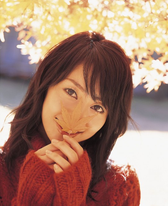 �캣����ͥ��ʦ